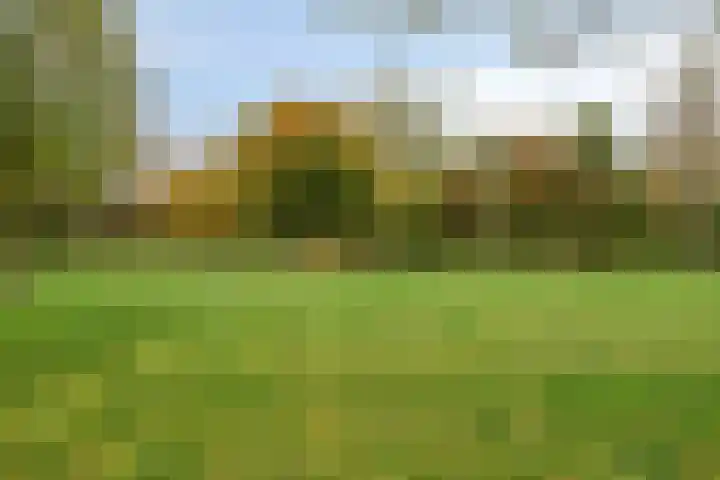 Ruwenberg 14 Eindhoven thumbnail 36