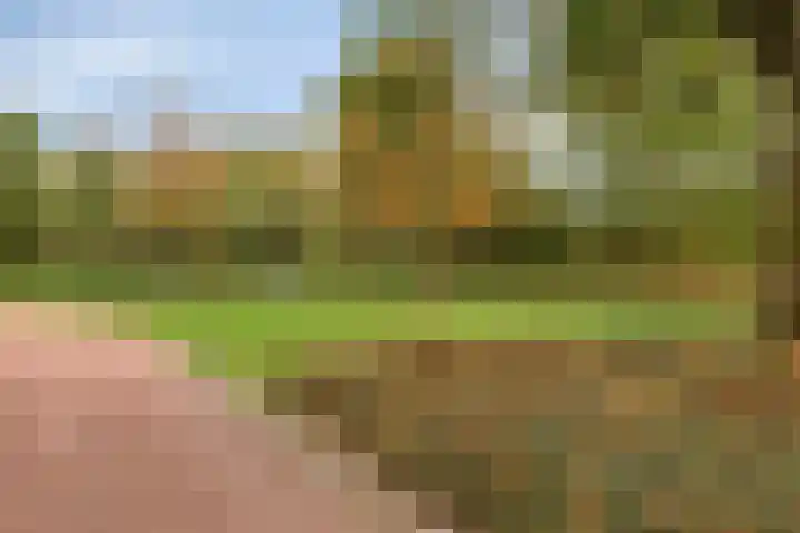 Ruwenberg 14 Eindhoven thumbnail 37