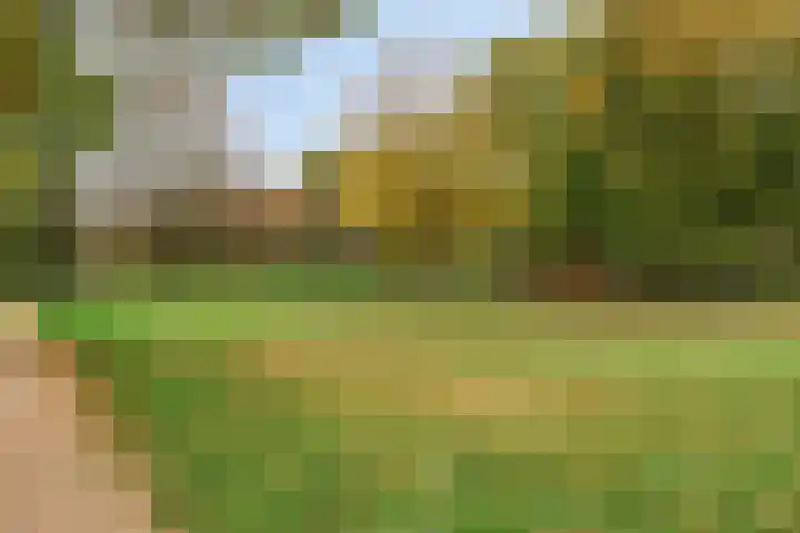 Ruwenberg 14 Eindhoven thumbnail 38