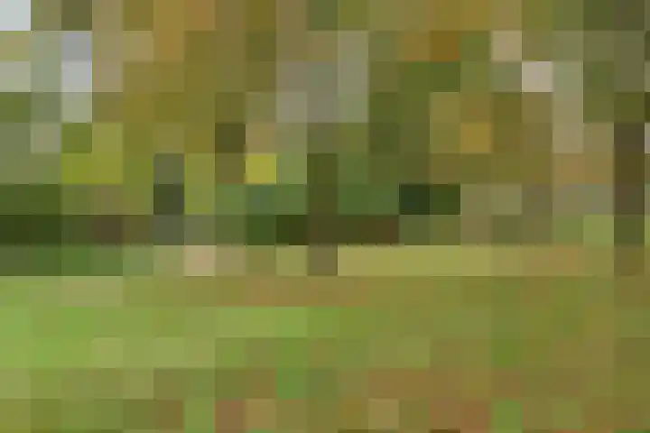 Ruwenberg 14 Eindhoven thumbnail 39