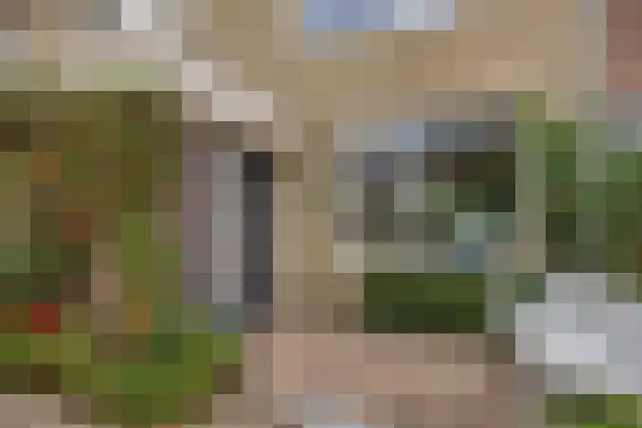 Ruwenberg 14 Eindhoven thumbnail 7