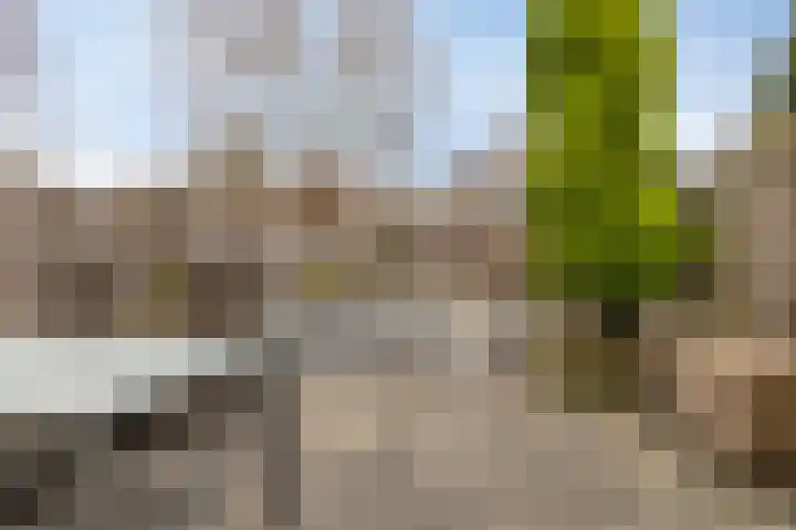 Ruwenberg 73 Eindhoven thumbnail 28