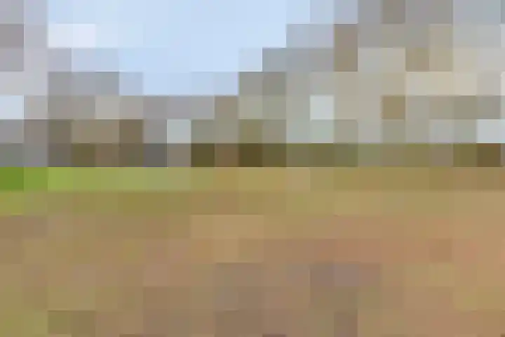 Ruwenberg 73 Eindhoven thumbnail 36