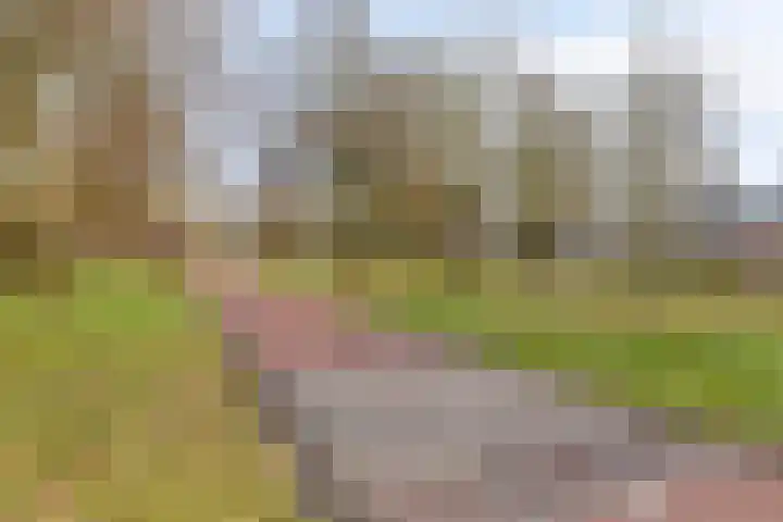 Ruwenberg 73 Eindhoven thumbnail 37
