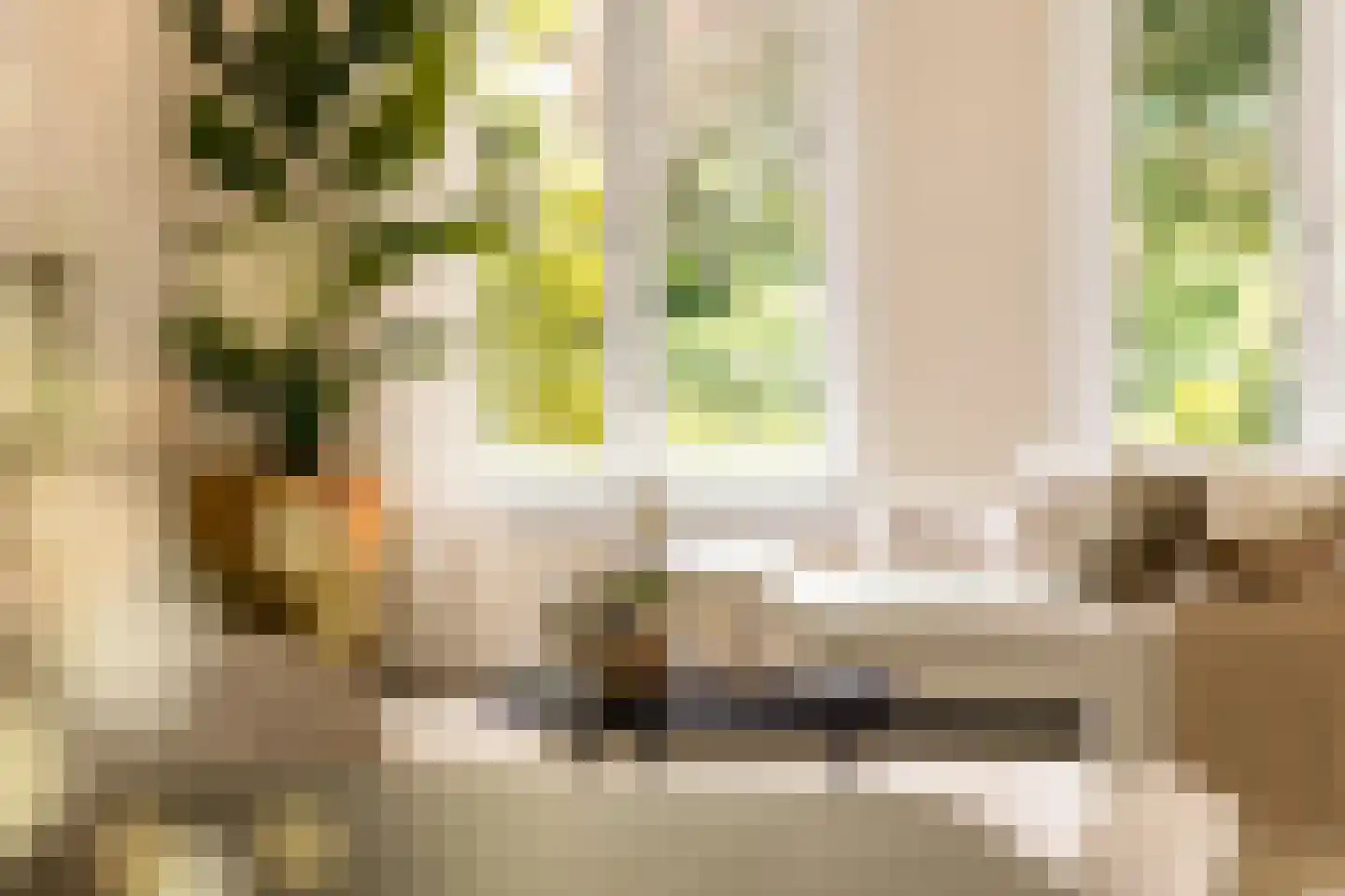 Ruwenbergstraat 4 Sint-Michielsgestel thumbnail 5