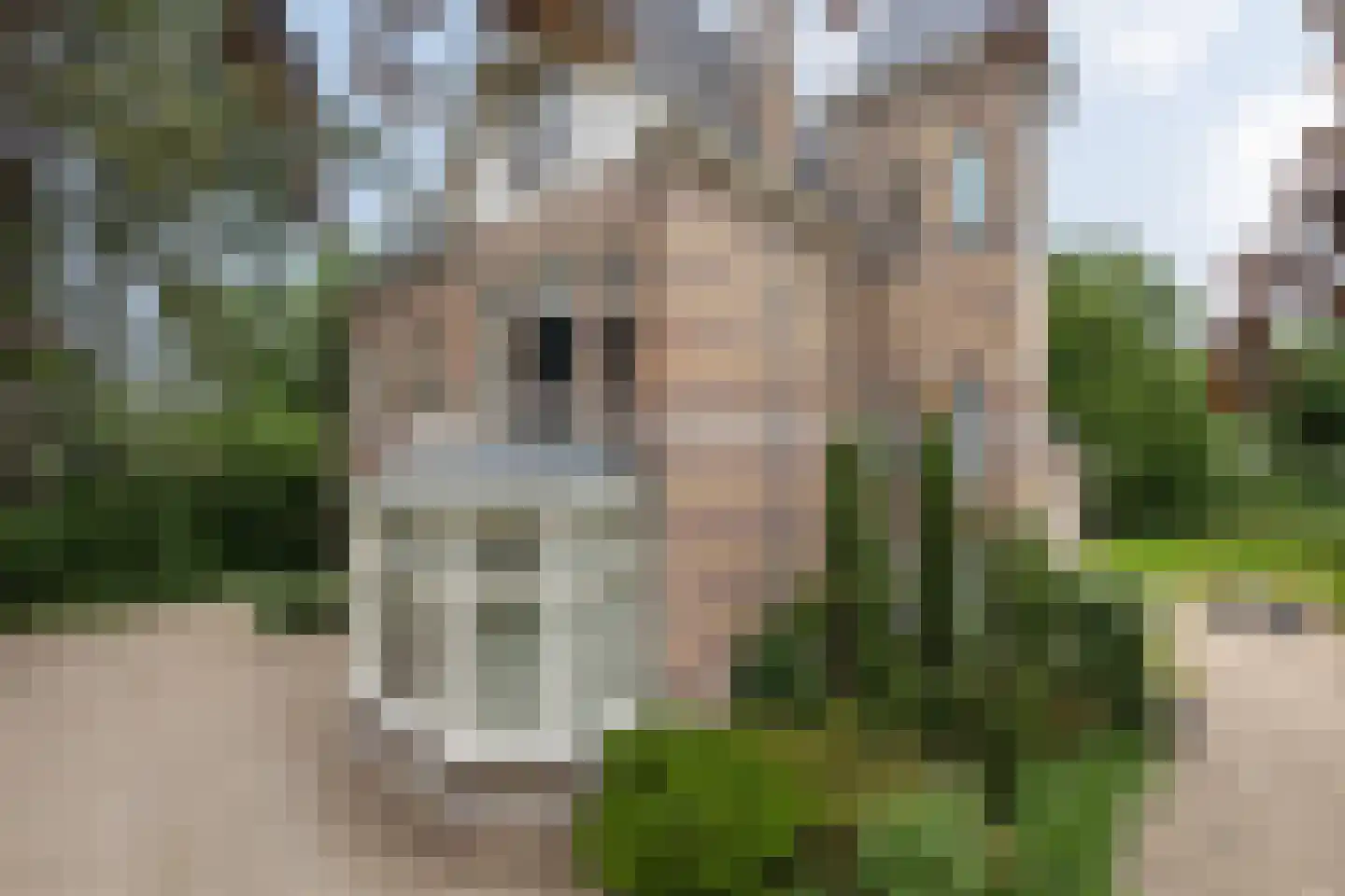 Ruwenbergstraat 4 Sint-Michielsgestel thumbnail 69