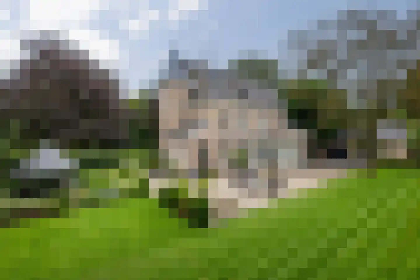 Ruwenbergstraat 4 Sint-Michielsgestel thumbnail 7