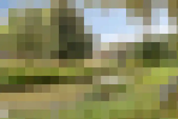 Ruwenbos 82 Enschede thumbnail 35