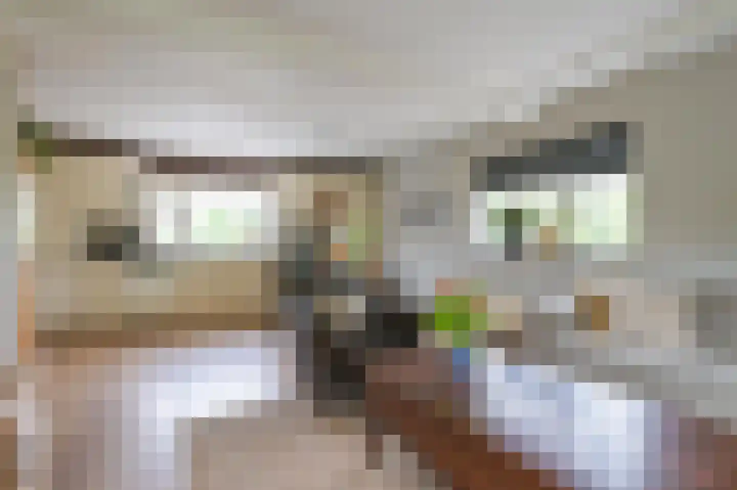 Ruwendaalseweg 10 Putten thumbnail 11
