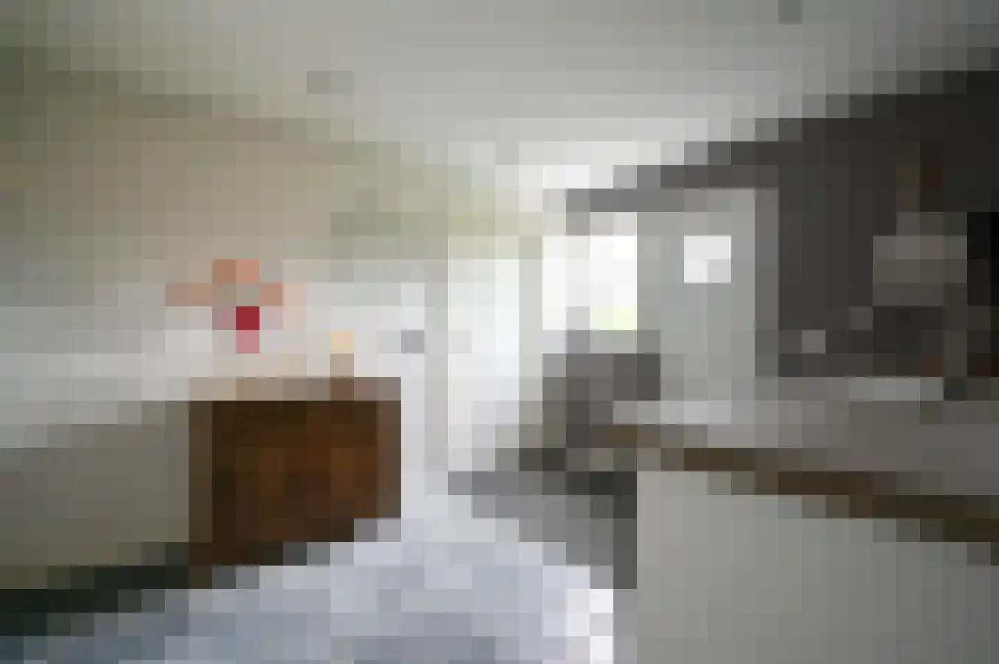 Ruwendaalseweg 10 Putten thumbnail 21