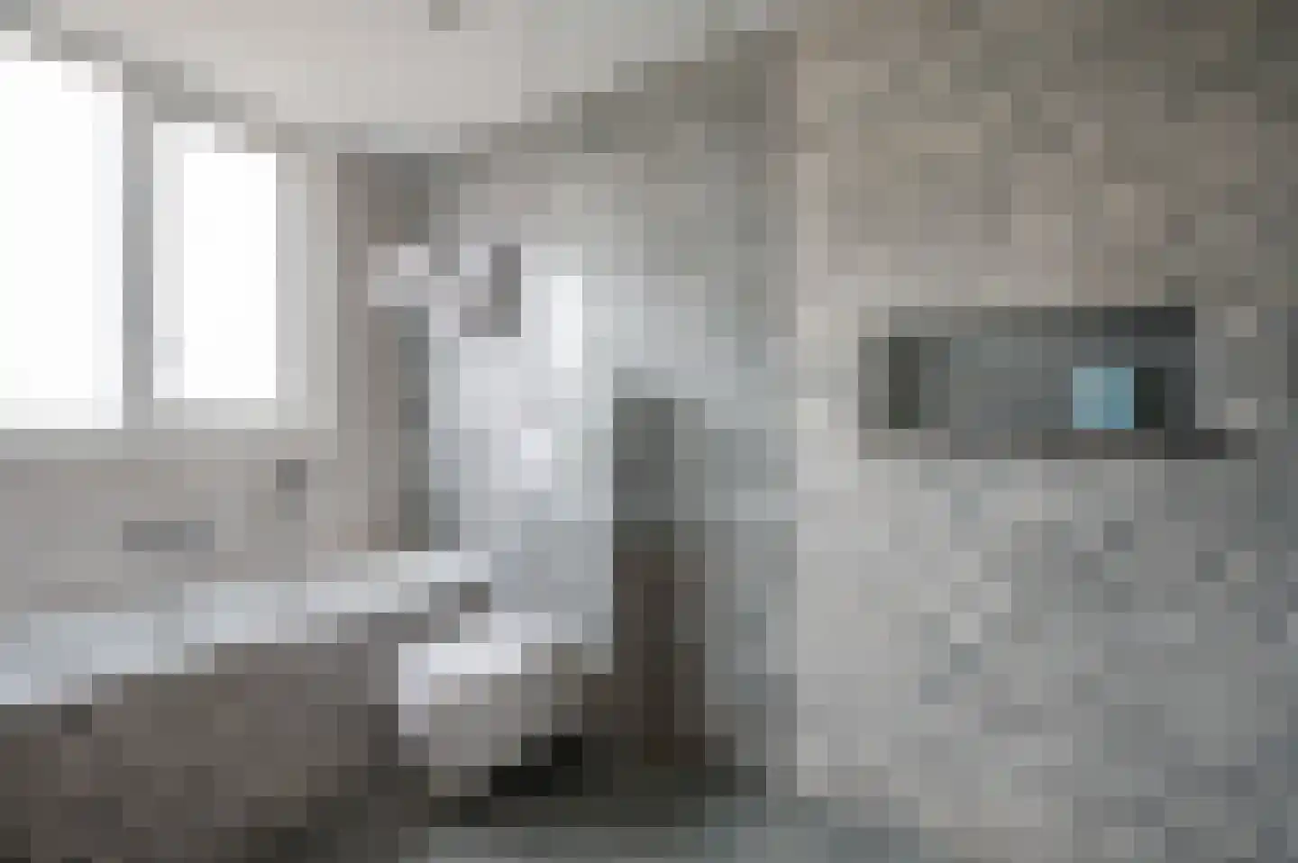 Ruwendaalseweg 10 Putten thumbnail 31