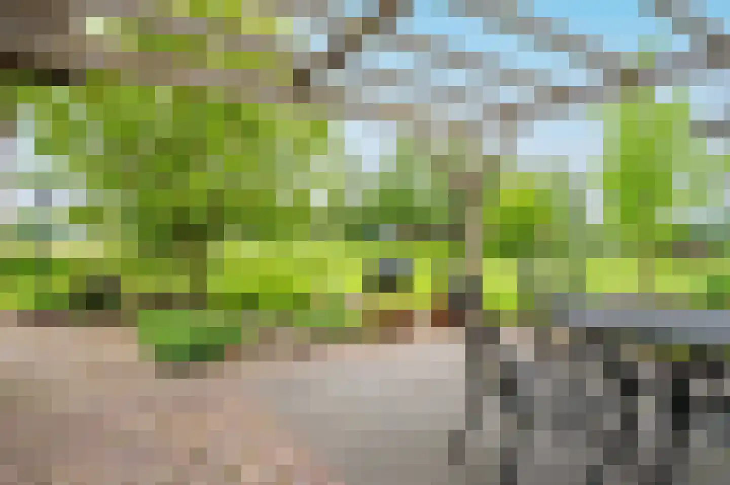 Ruwendaalseweg 10 Putten thumbnail 48
