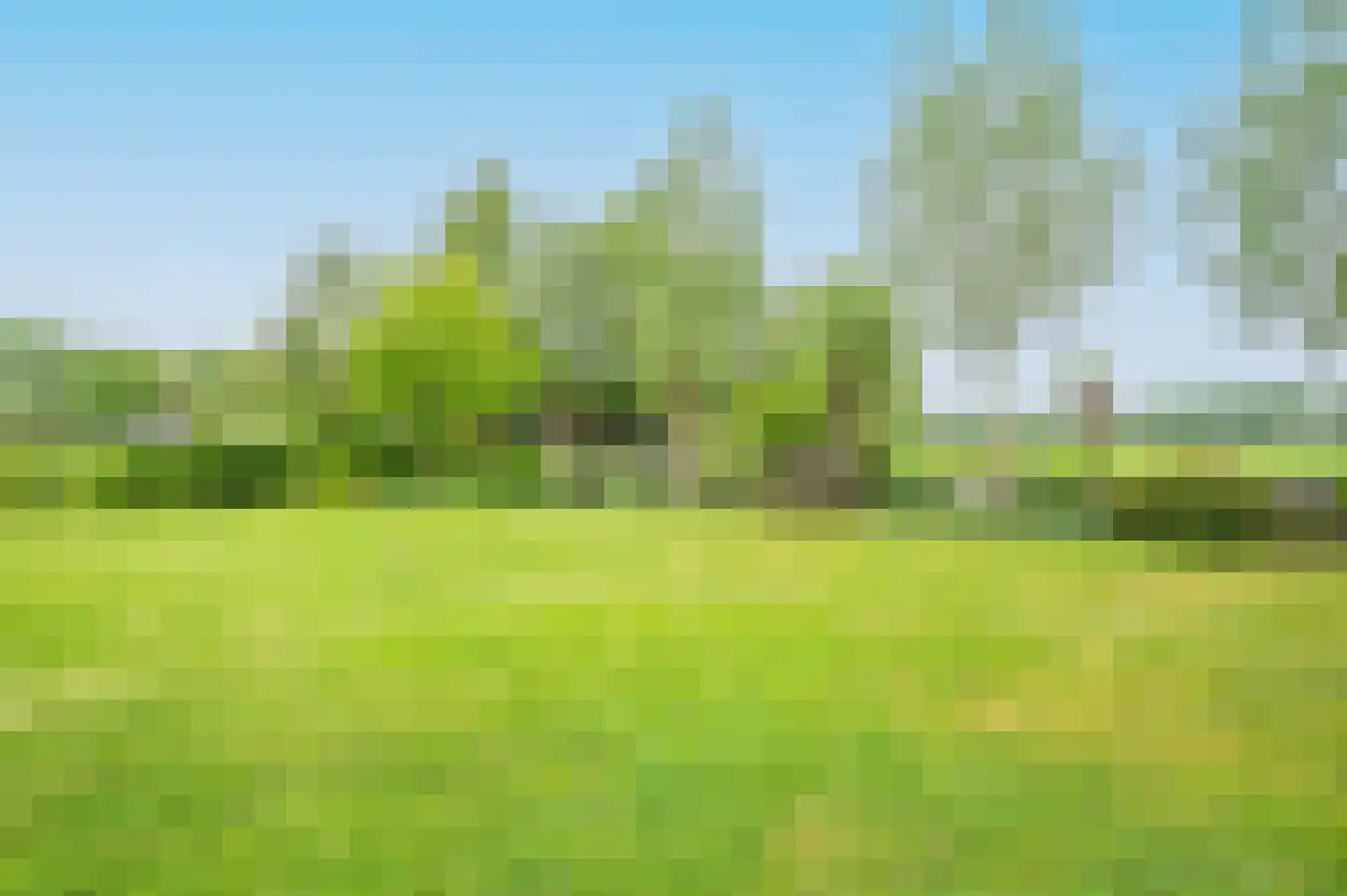 Ruwendaalseweg 10 Putten thumbnail 49