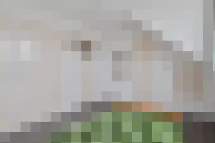 Ruwendaalseweg 12 Putten thumbnail 30