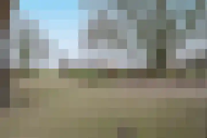 Ruwendaalseweg 12 Putten thumbnail 4
