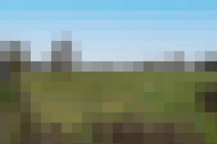 Ruwendaalseweg 12 Putten thumbnail 44