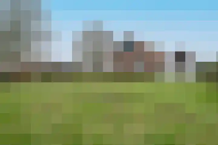 Ruwendaalseweg 12 Putten thumbnail 45