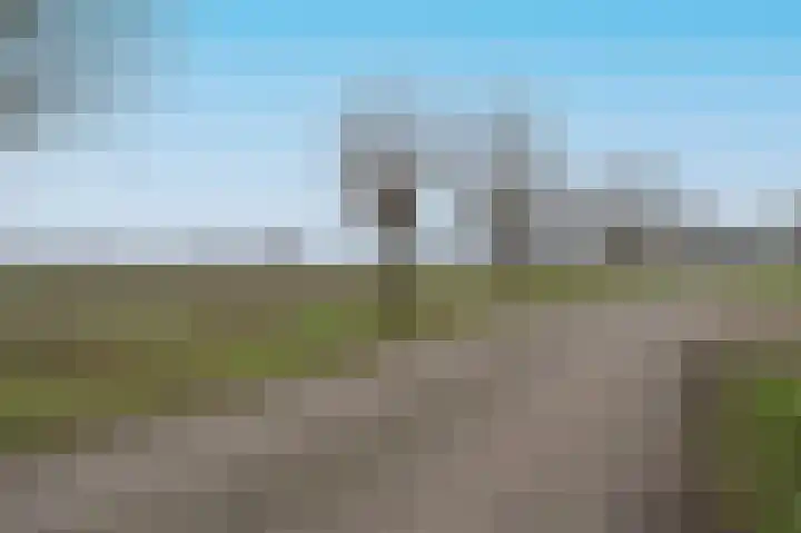 Ruwendaalseweg 12 Putten thumbnail 49