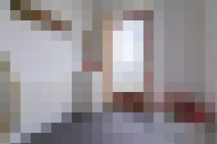 Ruwendaalseweg 12 Putten thumbnail 5