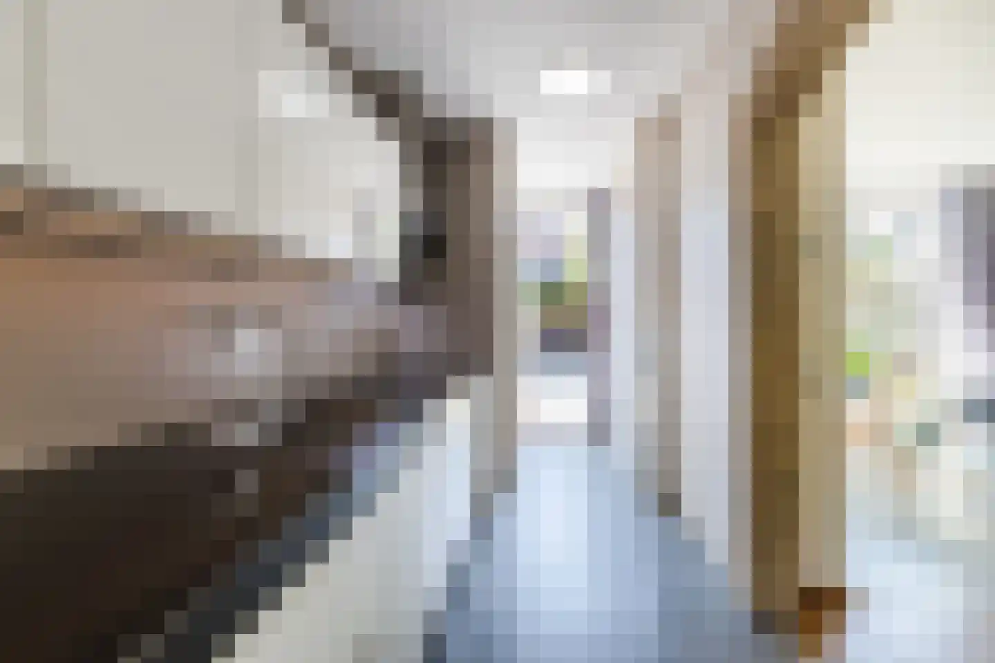 Ruwielstraat 20 Nieuwer Ter Aa thumbnail 10