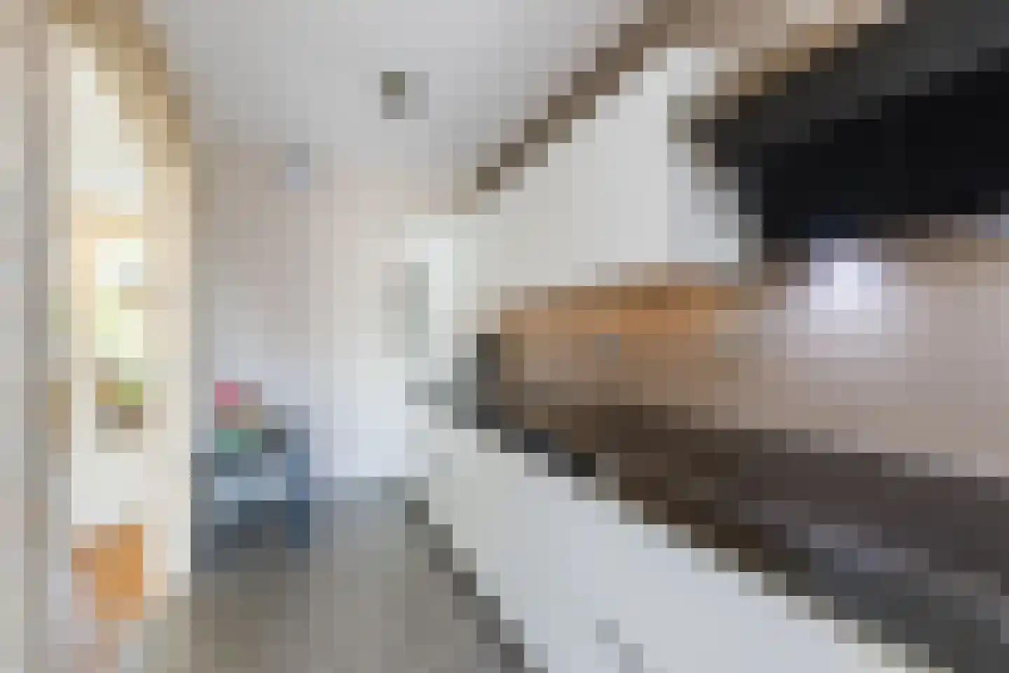 Ruwielstraat 20 Nieuwer Ter Aa thumbnail 12