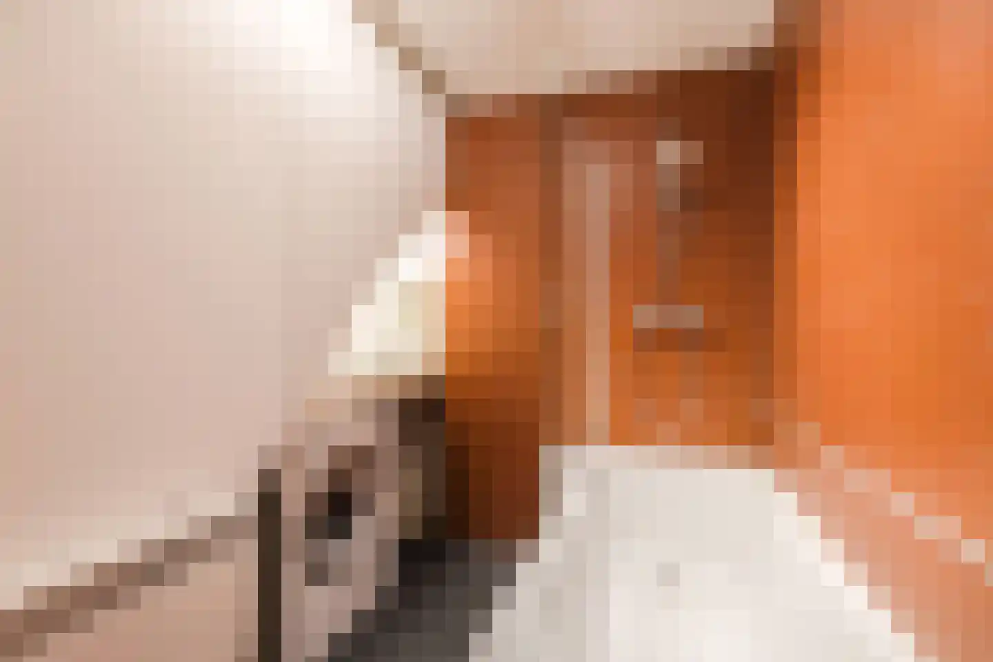 Ruwielstraat 20 Nieuwer Ter Aa thumbnail 21