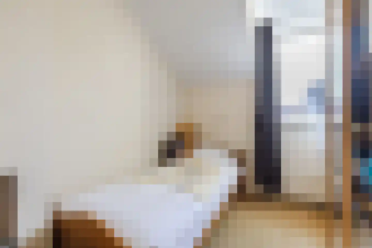 Ruwielstraat 20 Nieuwer Ter Aa thumbnail 26
