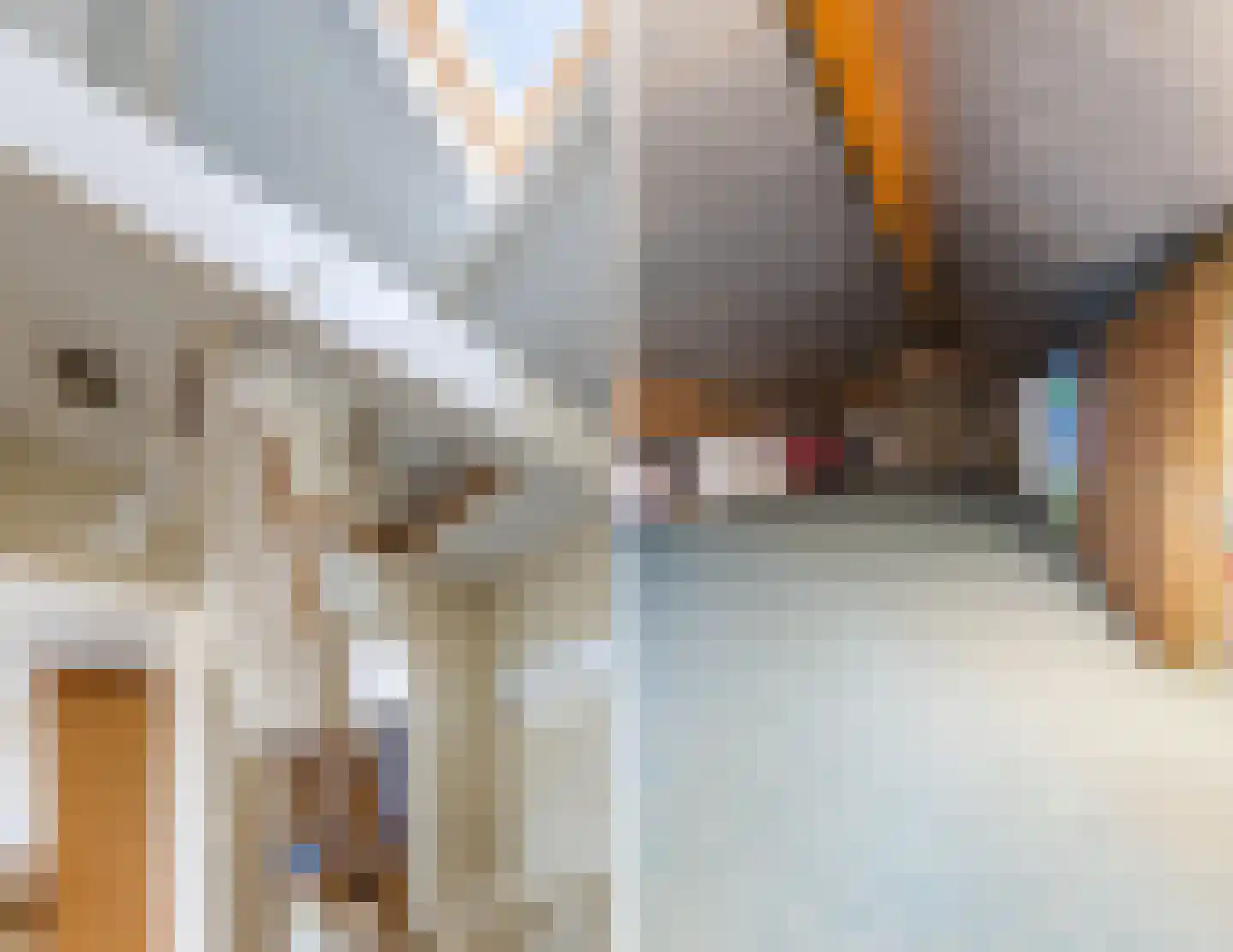 Ruwielstraat 20 Nieuwer Ter Aa thumbnail 34