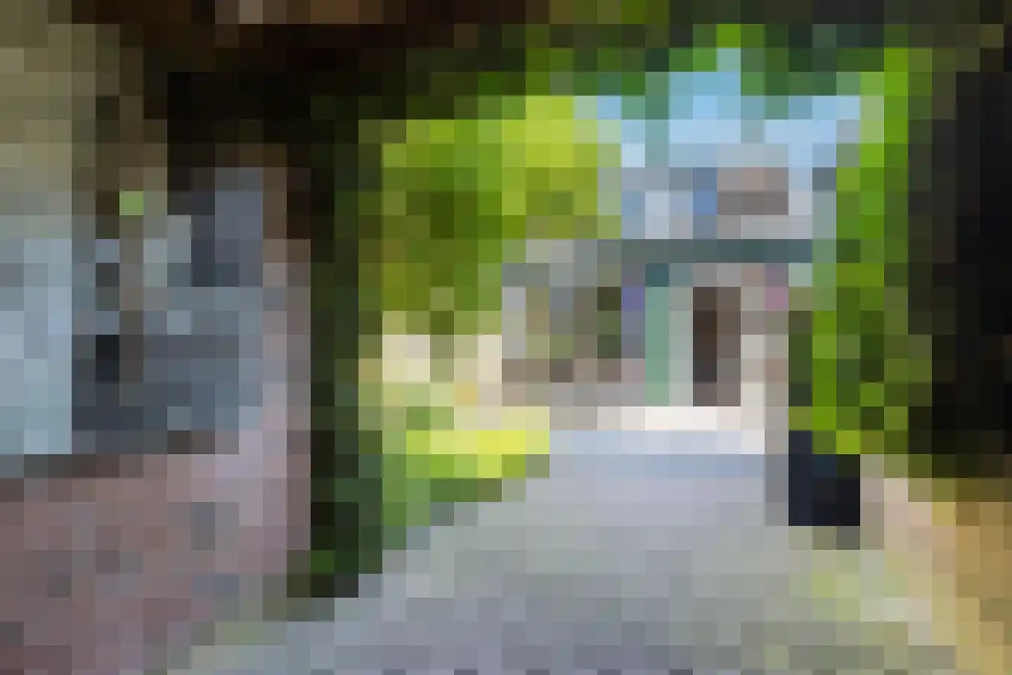 Ruwielstraat 20 Nieuwer Ter Aa thumbnail 42