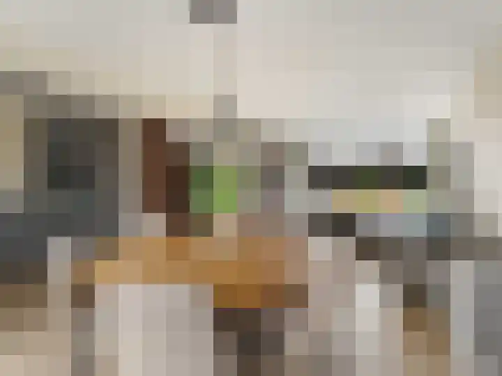 Ruwielstraat 28 Nieuwer Ter Aa thumbnail 10