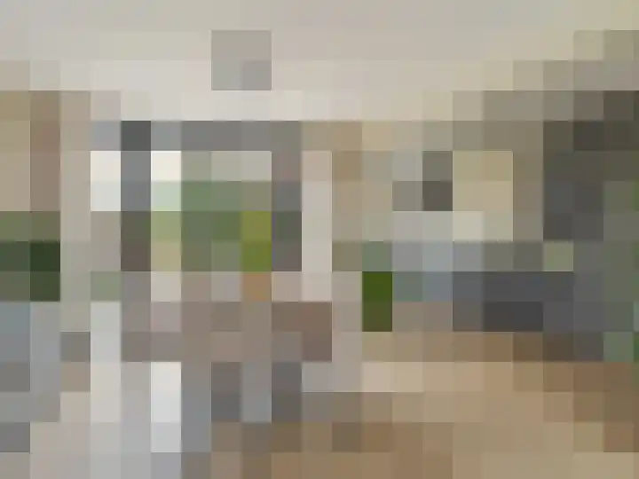 Ruwielstraat 28 Nieuwer Ter Aa thumbnail 14