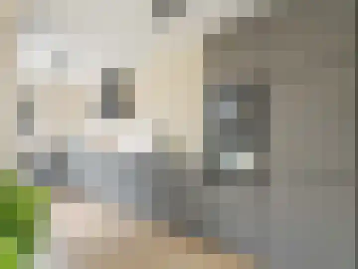Ruwielstraat 28 Nieuwer Ter Aa thumbnail 15