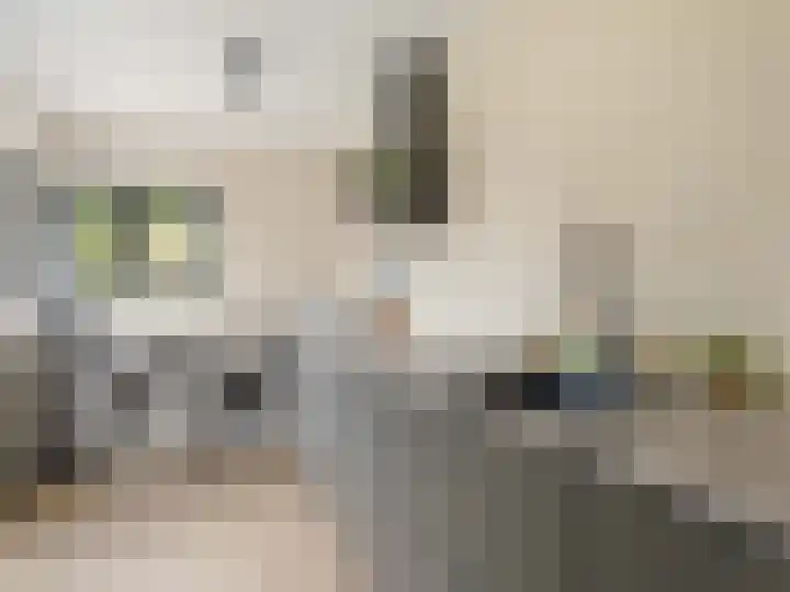 Ruwielstraat 28 Nieuwer Ter Aa thumbnail 16