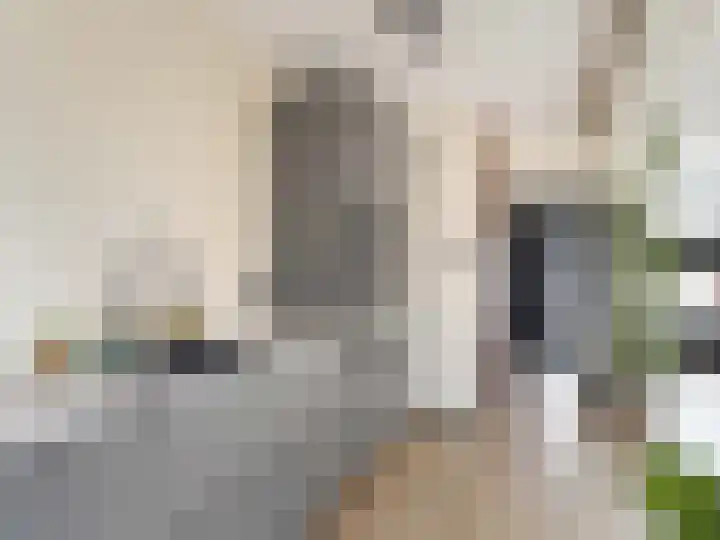 Ruwielstraat 28 Nieuwer Ter Aa thumbnail 17