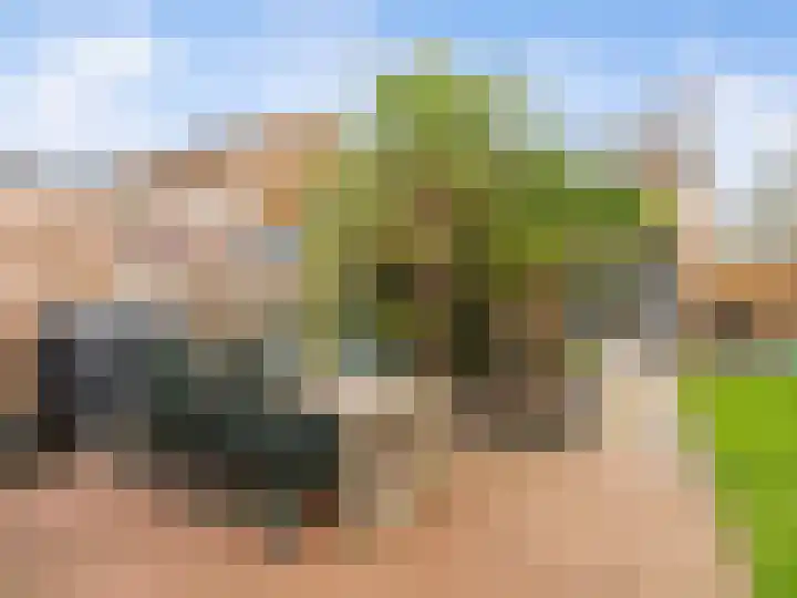 Ruwielstraat 28 Nieuwer Ter Aa thumbnail 29