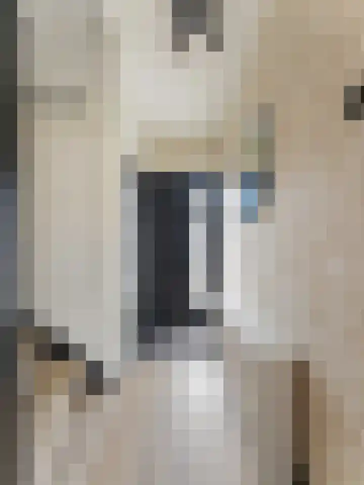 Ruwielstraat 28 Nieuwer Ter Aa thumbnail 7