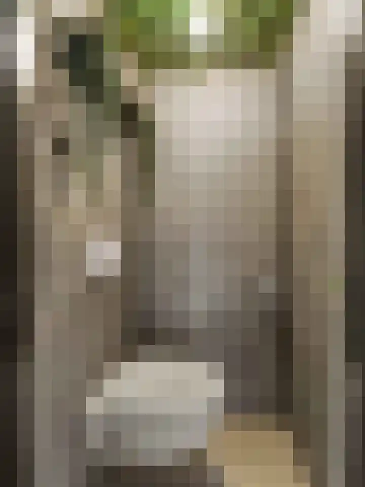 Ruwielstraat 28 Nieuwer Ter Aa thumbnail 8