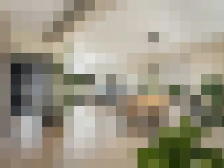 Ruwielstraat 28 Nieuwer Ter Aa thumbnail 9