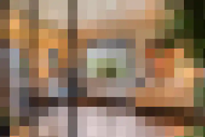 Ruwinkelseweg 1 Scherpenzeel thumbnail 10
