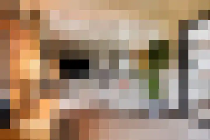 Ruwinkelseweg 1 Scherpenzeel thumbnail 12