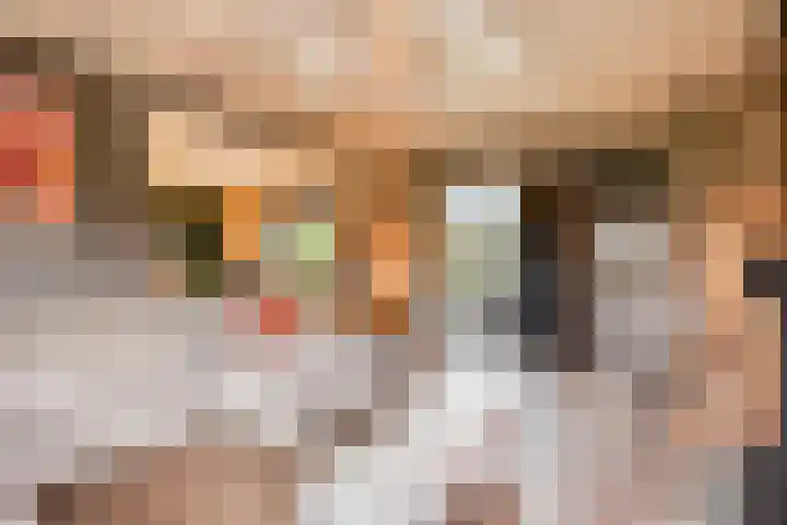 Ruwinkelseweg 1 Scherpenzeel thumbnail 16