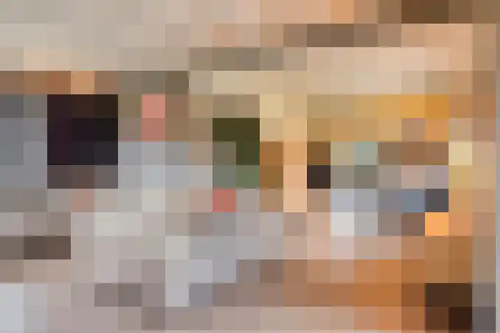 Ruwinkelseweg 1 Scherpenzeel thumbnail 17