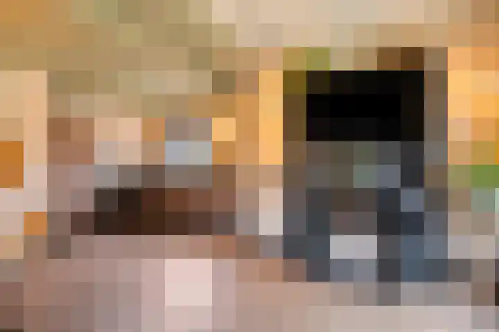 Ruwinkelseweg 1 Scherpenzeel thumbnail 21