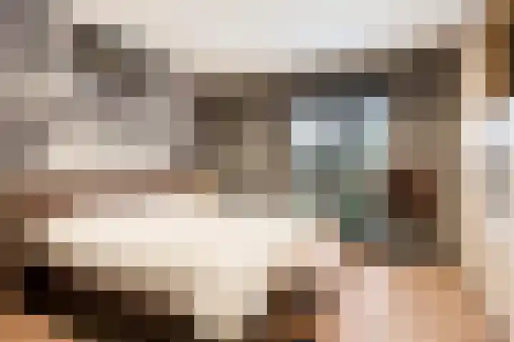 Ruwinkelseweg 1 Scherpenzeel thumbnail 32