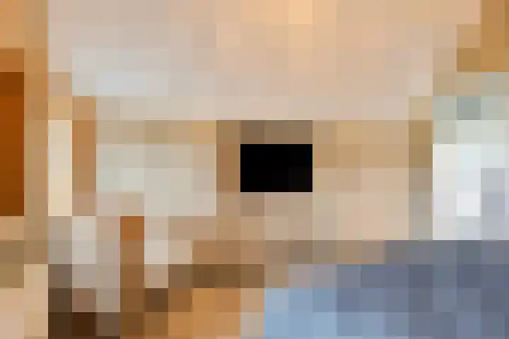 Ruwinkelseweg 1 Scherpenzeel thumbnail 37