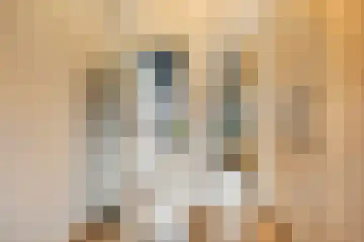 Ruwinkelseweg 1 Scherpenzeel thumbnail 39