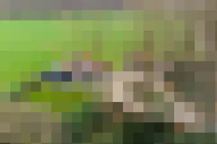 Ruwinkelseweg 1 Scherpenzeel thumbnail 4