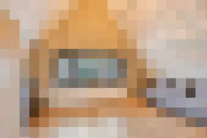 Ruwinkelseweg 1 Scherpenzeel thumbnail 42