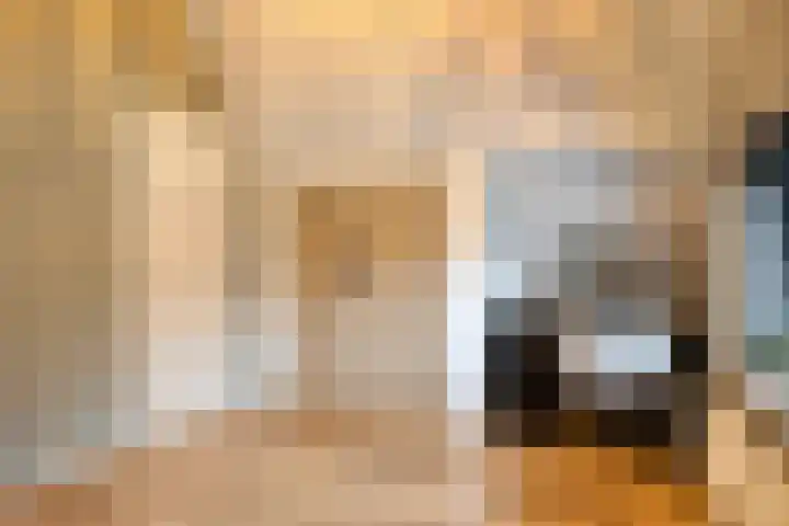 Ruwinkelseweg 1 Scherpenzeel thumbnail 43