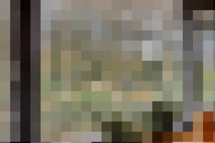 Ruwinkelseweg 1 Scherpenzeel thumbnail 44